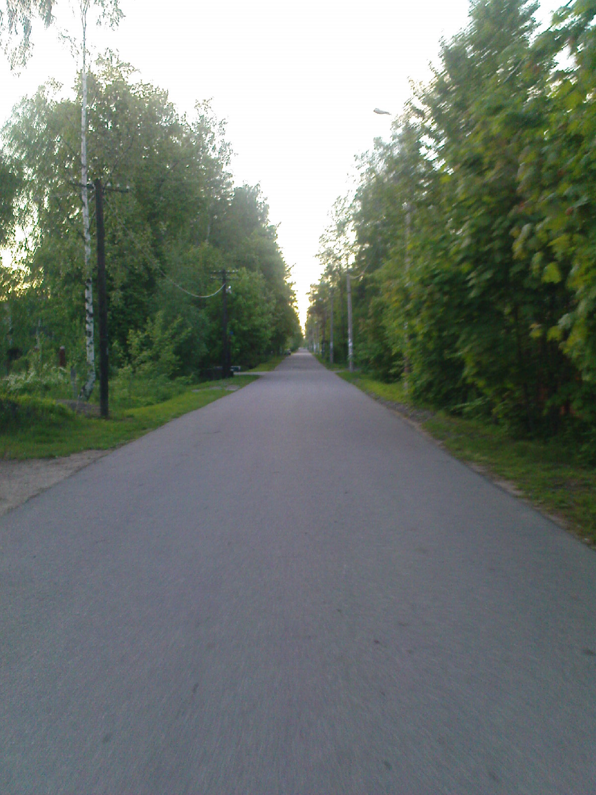 Ключевой проспект в Ольгино. Ольгино. 2010 год.