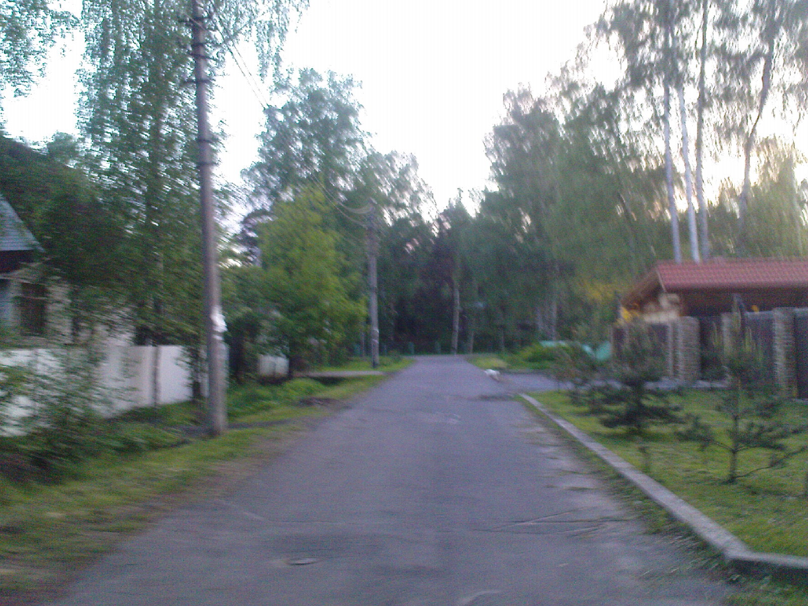 Улица Хвойная. Ольгино. 2010 год