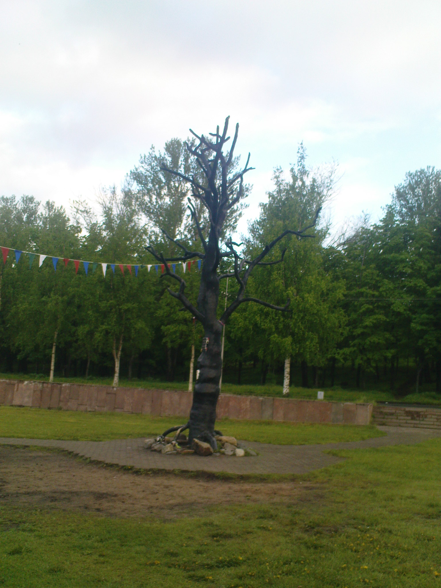 Дерево желаний. Онежская набережная. Петрозаводск. Июнь 2010 года. Фото: А.Хохлов